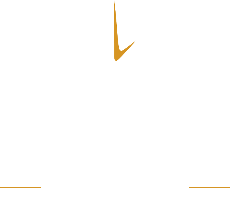 TrueNorth Wealth logo
