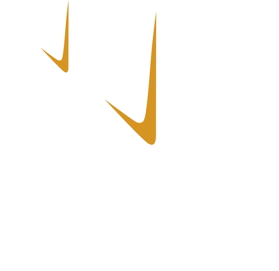 TrueNorth Wealth logo stars