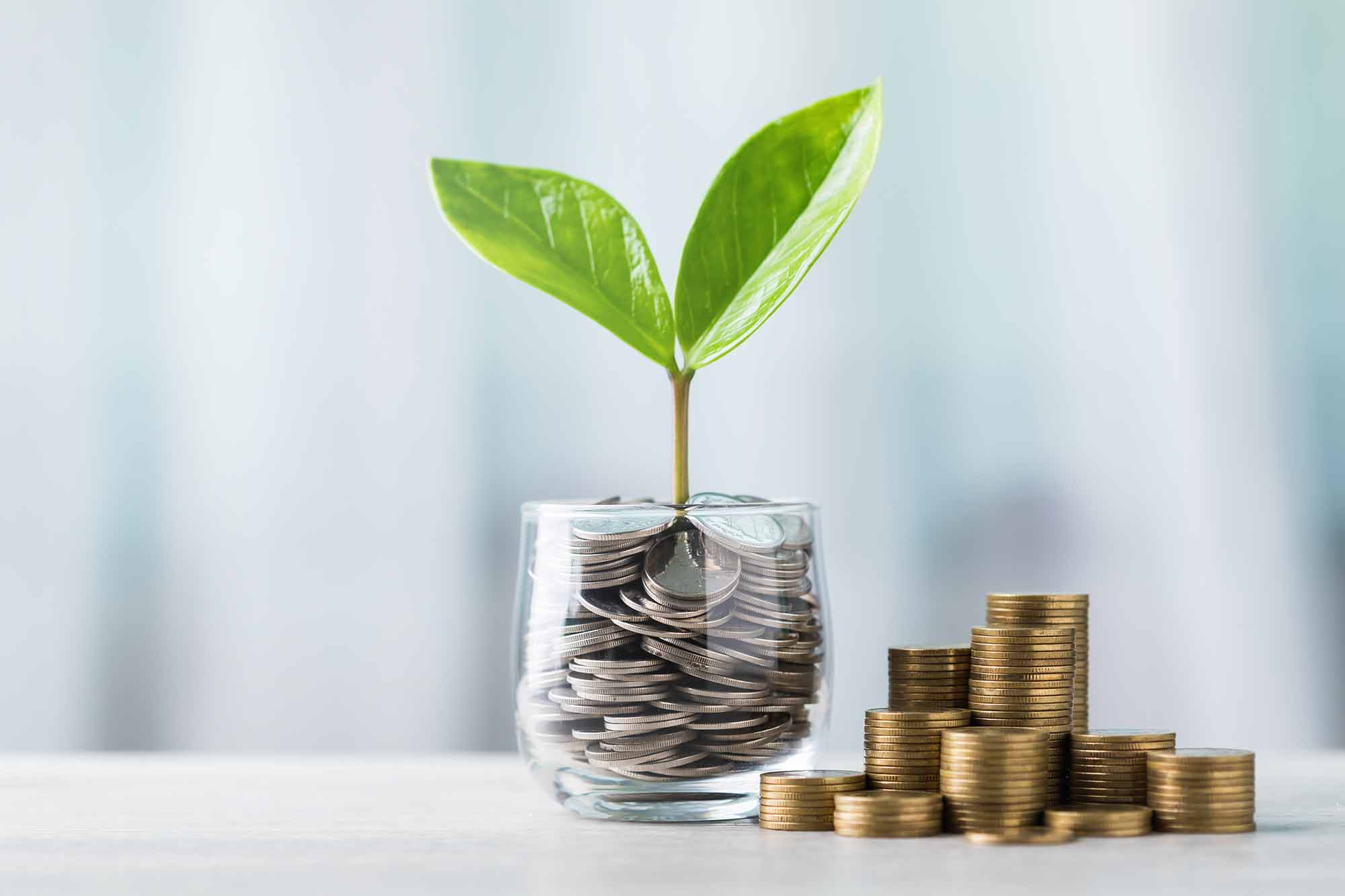 A glass full of coins with a plant sprouting from it. Stacks of coins are on the table next to the glass.